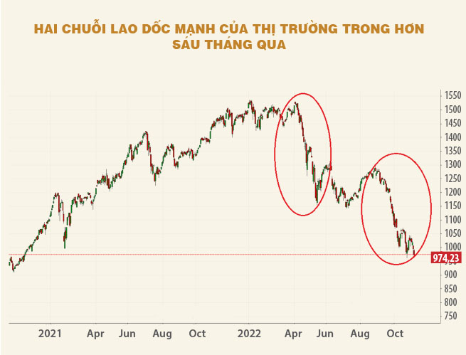 Không chỉ nhà đầu tư cá nhân, các quỹ đầu tư cũng thua lỗ nặng