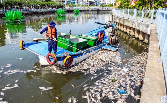 Bao giờ thôi HÀNH HẠ những DÒNG KÊNH