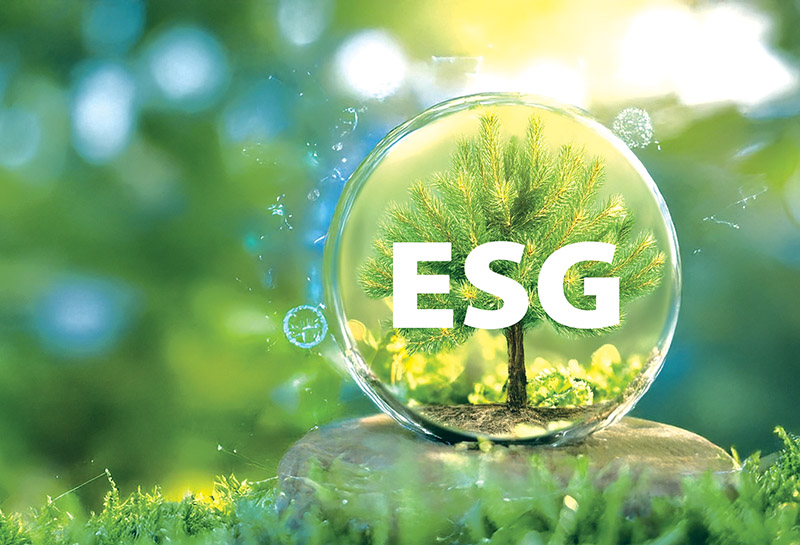 Tìm kiếm lợi thế kinh doanh từ bền vững