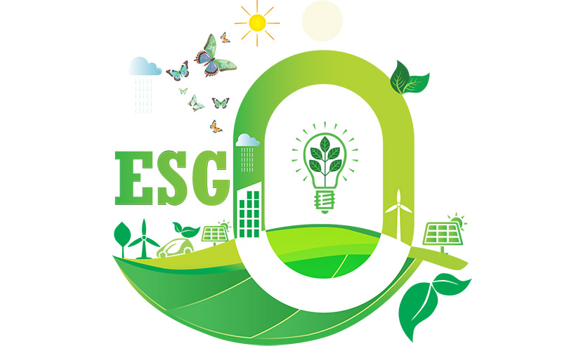 ESG và việc tuân thủ lao động: Từ ‘nỗi ám ảnh’ đến cơ hội đổi đời của doanh nghiệp Việt Nam