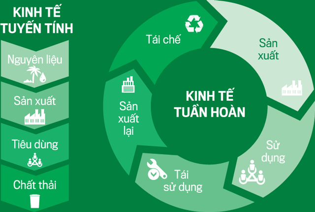 Kinh tế tuần hoàn mở ra những mô hình kinh doanh mới