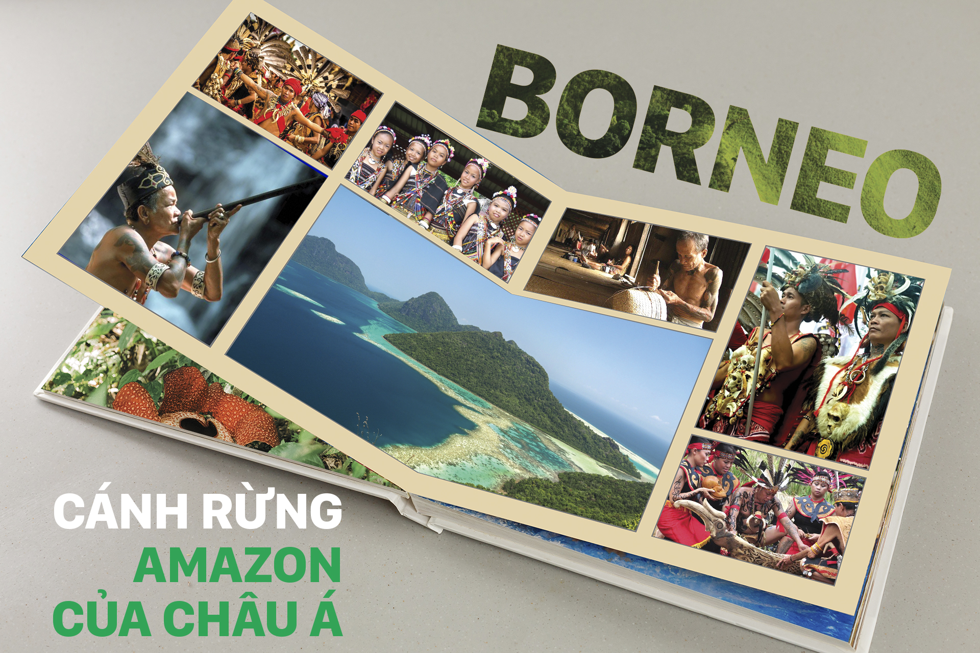 Borneo - Cánh rừng Amazon của Chấu Á