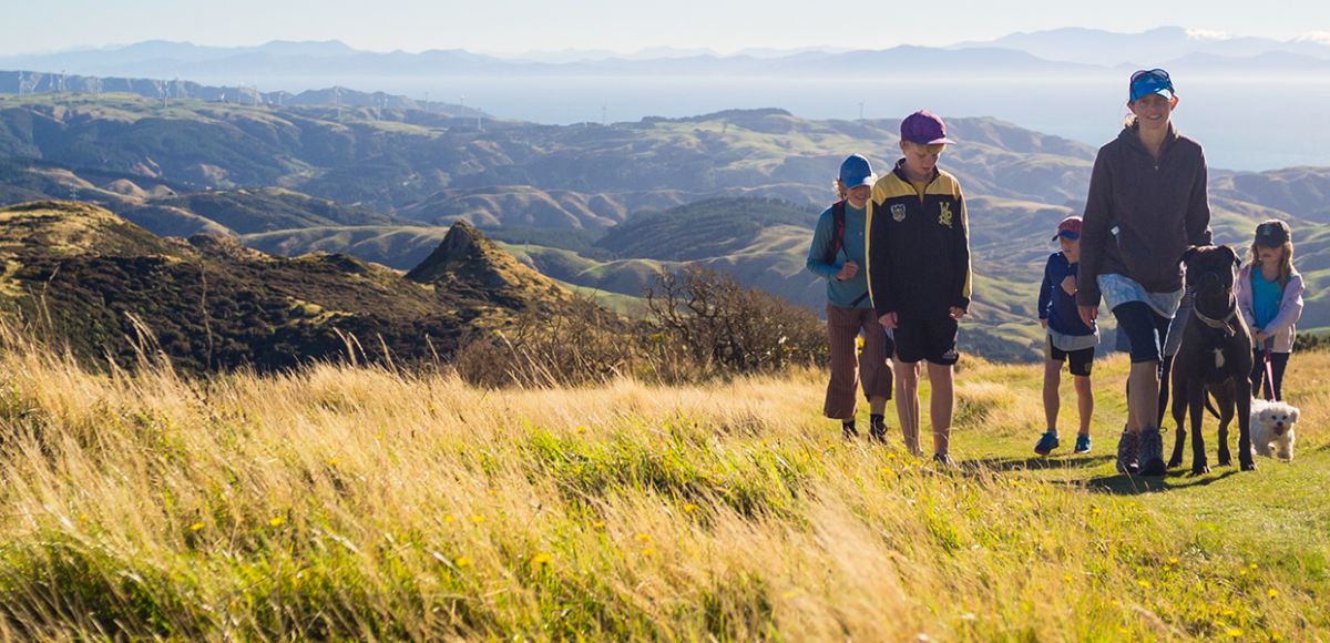 Sáng kiến mới tạo việc làm trong đại dịch Covid-19 của New Zealand: Job for Nature