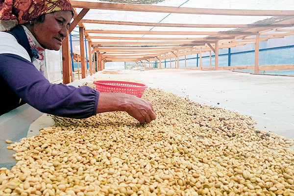 Sản phẩm của Zanya Coffee được làm thủ công đến 90% nên kỹ càng và giá bán cao.